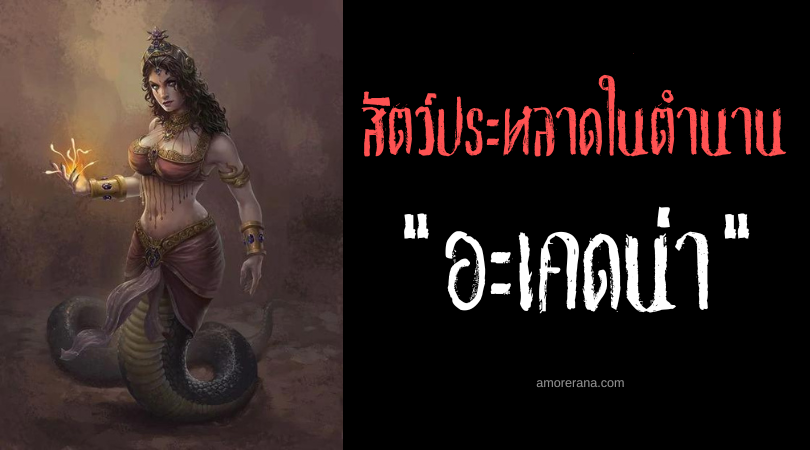 อะเคดน่า (Echidna) มารดาของเหล่าสัตว์ประหลาด ตำนานเทพเจ้ากรีก