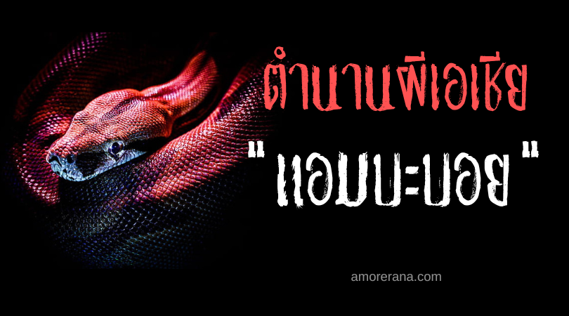 แอมบะบอย (Ambaboy) วิญญาณงูเหลือมเจ้าที่ ประเทศฟิลิปปินส์