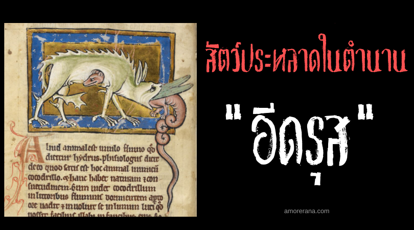 อีดรุส (Ydrus) งูน้ำทะลวงร่างจระเข้ ตำนานยุโรปยุคกลาง