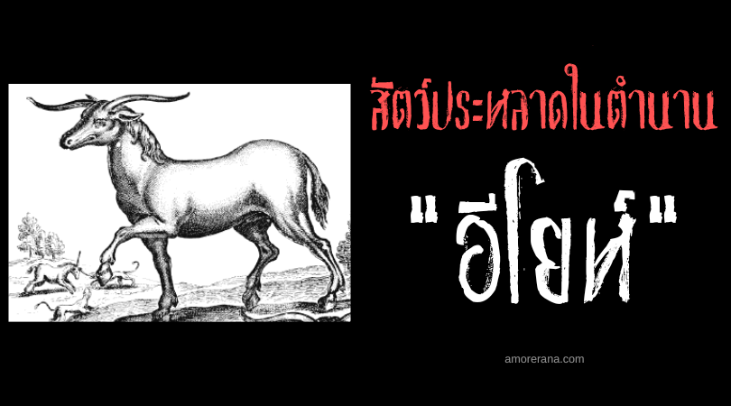 อีโยห์ (Eale) กระทิงเก็บเขาอิสระ แห่งประเทศเอธิโอเปีย