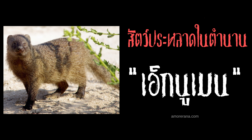 เอ็กนูเมน (Ichneumon) สัตว์เกราะโคลนจอมสังหารงูและจระเข้ ตำนานโรมัน