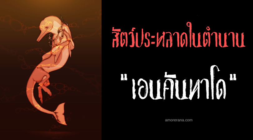 เอนคันทาโด (Encantado) ปลาโลมาสีชมพูมหัศจรรย์ ประเทศบราซิล
