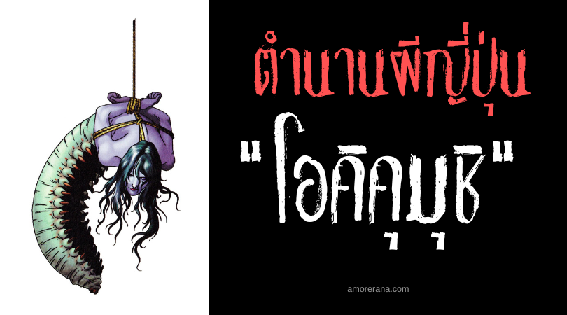 โอคิคุมุชิ (Okiku mushi) หนอนผีเสื้อหน้ามนุษย์ แห่งประเทศญี่ปุ่น