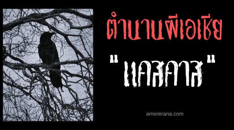 แคสคาส (kas-kas) นกผีปอบ ประเทศฟิลิปปินส์