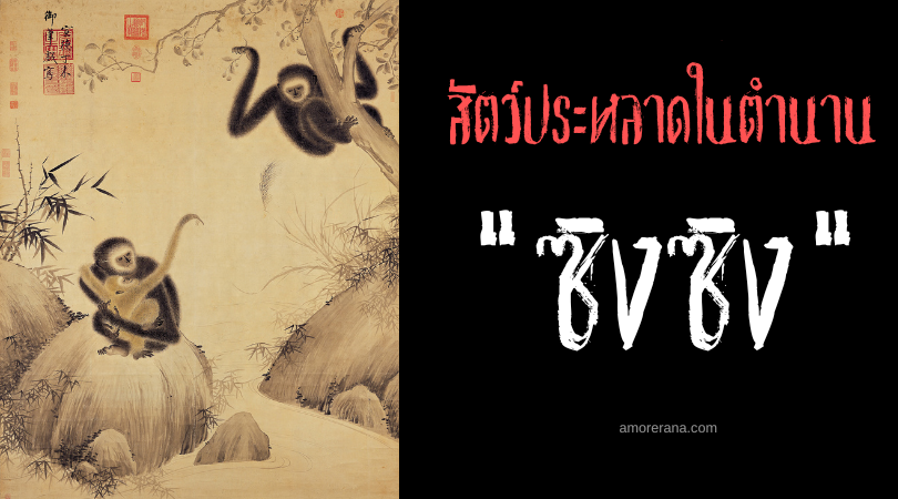 ซิงซิง (Xingxing) ลิงลมกรด ประเทศจีน