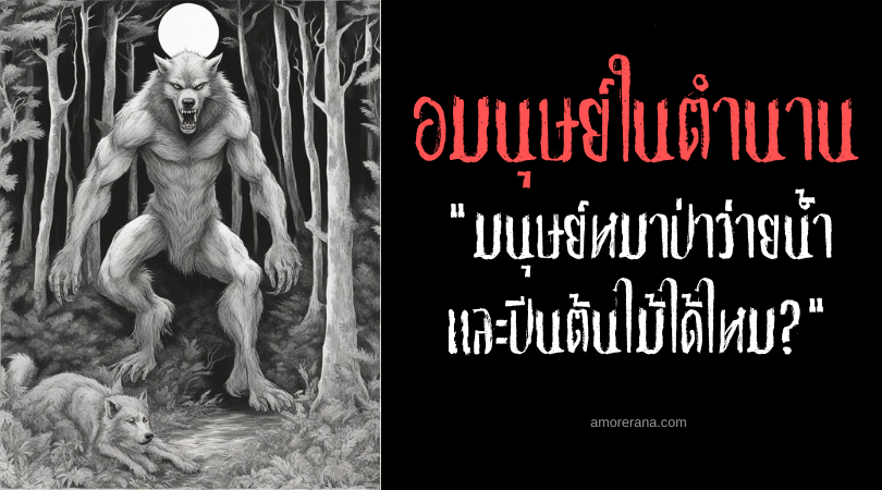 [ไขประวัติศาสตร์} มนุษย์หมาป่าว่ายน้ำและปีนต้นไม้ได้หรือไม่