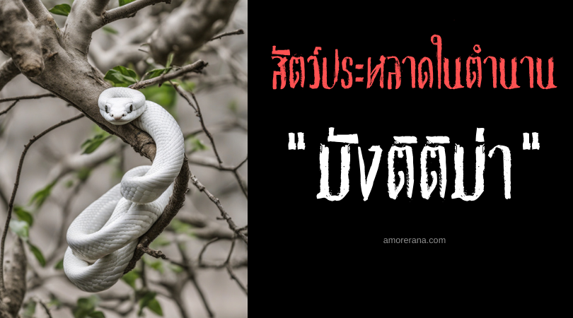 มังติติม่า (Magtitima) งูขาวผู้ครองต้นไม้เก่าแก่ ประเทศฟิลิปปินส์