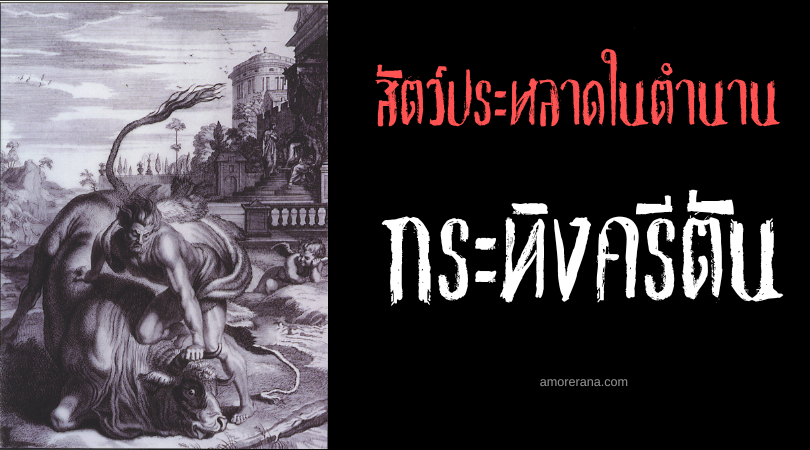 กระทิงครีตัน (Cretan Bull) กระทิงเทพเจ้าแห่งเกาะครีต ประเทศกรีก