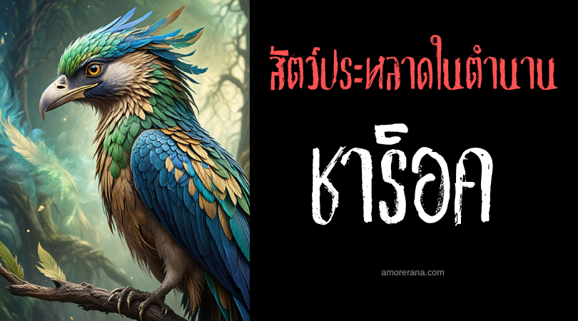 ชาร็อค (Shahrok) ราชาแห่งนก ประเทศอิหร่าน