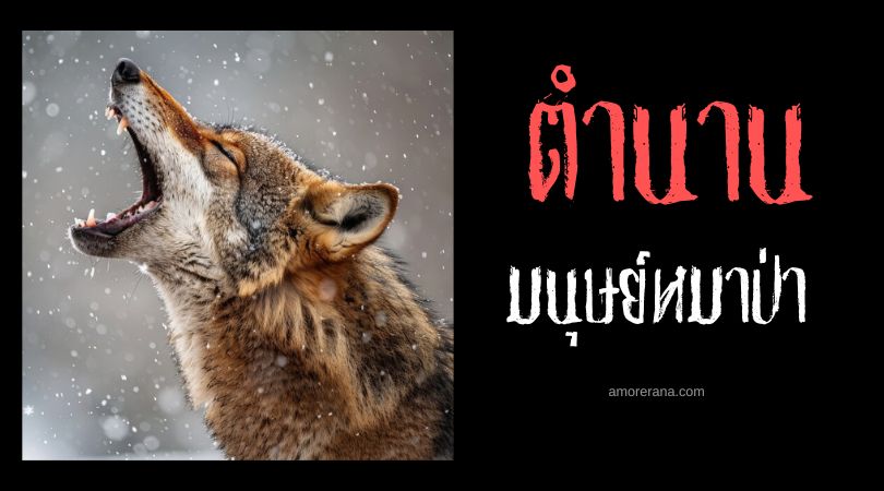 มนุษย์หมาป่าหญิง (A Female Werewolf) ประเทศดัตช์