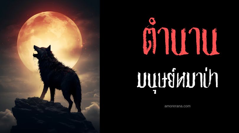 มนุษย์หมาป่าอัลฟ่า-ราชา เจาะลึกตัวตนและตำนาน