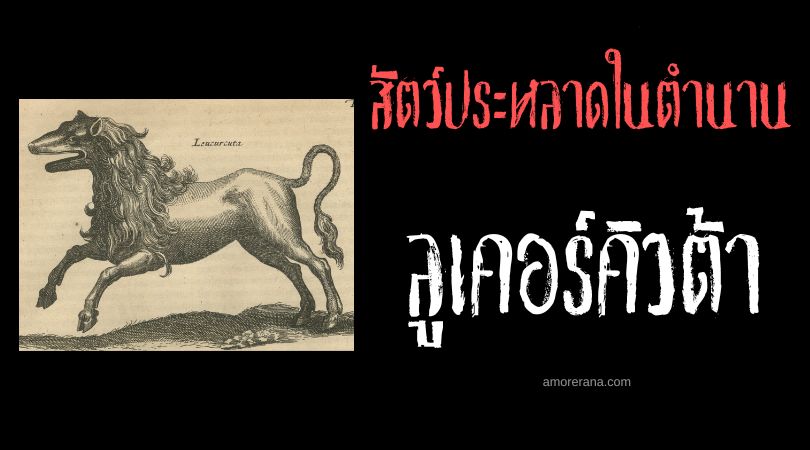 ลูเคอร์คิวต้า (Leucurcuta) สัตว์ประหลาดเลียนเสียงกลืนกินมนุษย์ ประเทศอินเดียและทวีปยุโรปยุคกลาง