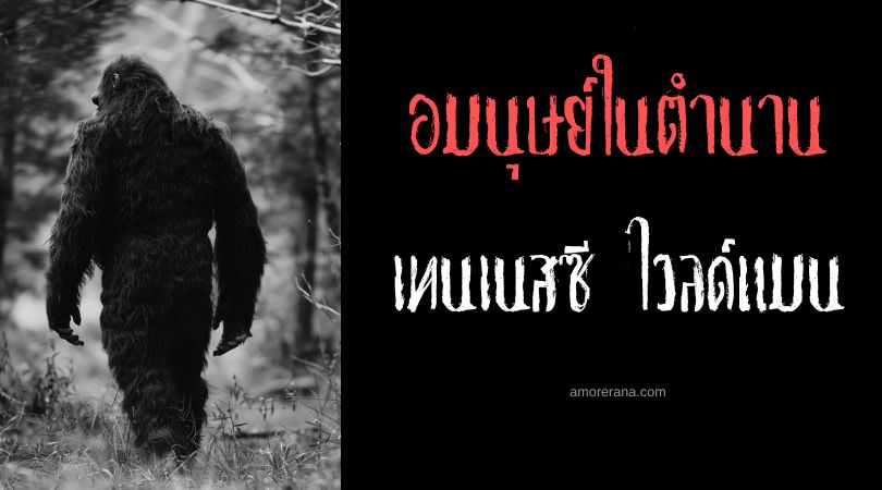เทนเนสซี ไวลด์แมน (Tennessee Wildman) อมนุษย์ผู้ก้าวร้าว ประเทศสหรัฐอเมริกา