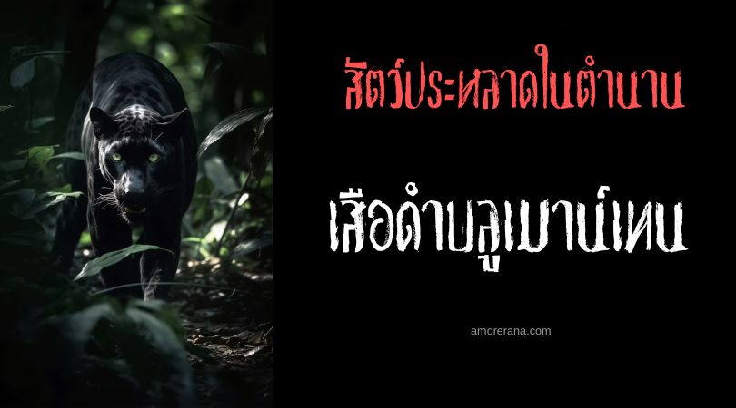 เสือดำบลูเมาน์เทน (Blue Mountain Panther) ประเทศออสเตรเลีย