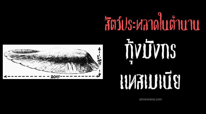 กุ้งมังกรแทสเมเนีย (Tasmanian Globster) ประเทศออสเตรเลีย