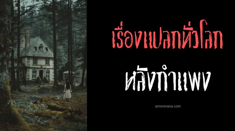 เรื่องราวสุดสยองหลังกำแพงบ้านมือสอง