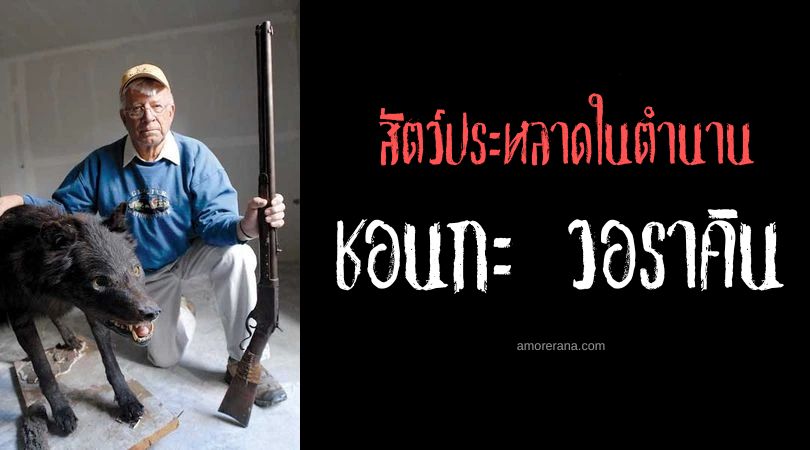 ชอนกะ วอราคิน (Shunka Warak’in) สัตว์ลึกลับแห่งมอนทานา ประเทศสหรัฐอเมริกา