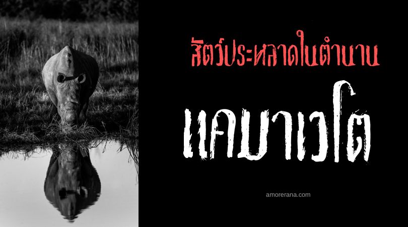 แคมาเวโต (Camahueto) กระทิงน้ำเขาเดียว ประเทศชิลี