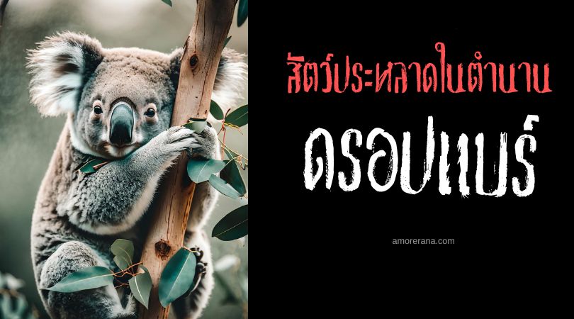 ดรอปแบร์ (Drop Bear) นักล่าแห่งป่ายูคาลิปตัส ประเทศออสเตรเลีย