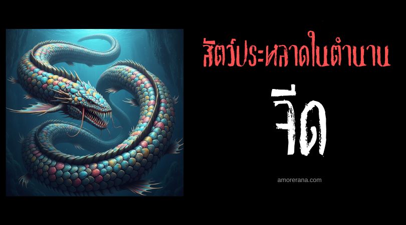 จีด (Ged) มัจฉามรณะ ประเทศสกอตแลน์