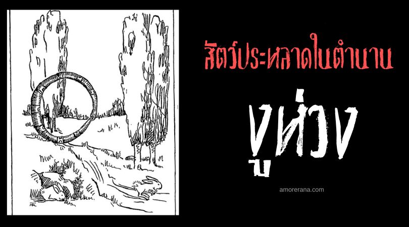 งูห่วง (Hoop snake) งูประหลาดที่กลิ้งแทนการเลื้อย ประเทศสหรัฐอเมริกาและแคนาดา