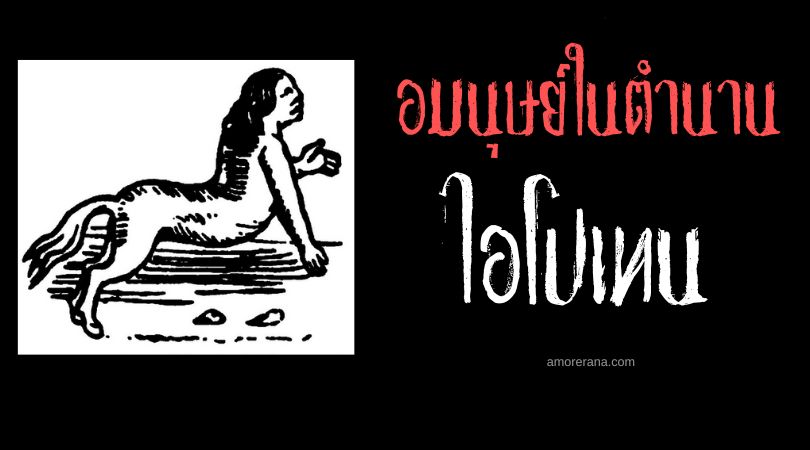 ไอโปเทน (Ipotane) อมนุษย์ครึ่งม้าผู้รักสงบ ตำนานเทพเจ้ากรีก