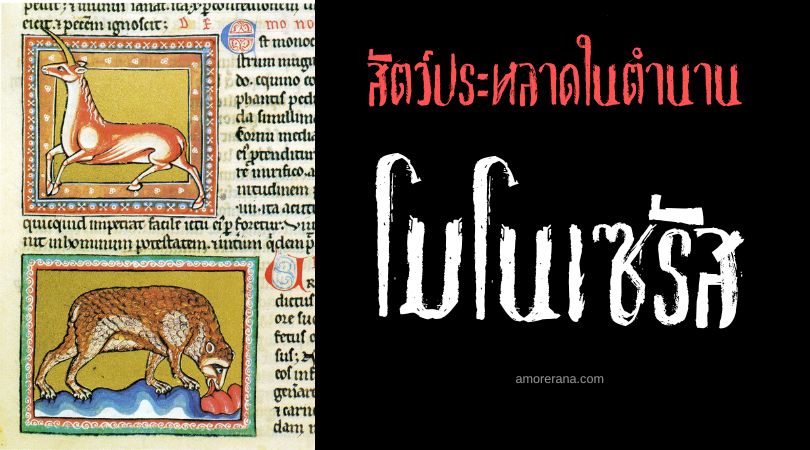 โมโนเซรัส (Monocerus) สัตว์ลึกลับเขาเดียว ตำนานยุโรปยุคกลาง