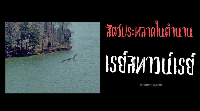 เรย์สทาวน์เรย์ (Raystown Ray) สัตว์ประหลาดลึกลับแห่งทะเลสาบเรย์สทาวน์ ประเทศสหรัฐอเมริกา