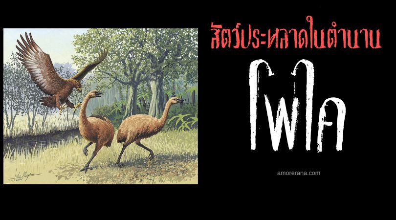 โพไค (Poukai) ปักษายักษ์นักล่ามนุษย์กินคน ประเทศนิวซีแลนด์