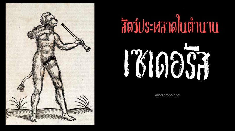 เซเดอรัส (Satyrus) สัตว์ประหลาดแห่งความขัดแย้ง ตำนานยุโรปยุคกลาง