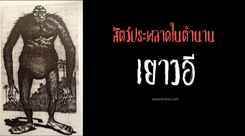 เยาวอี (Yowie) ผู้พิทักษ์ผู้โดดเดี่ยว ประเทศออสเตรเลีย