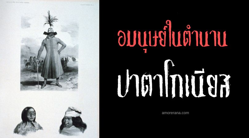 ปาตาโกเนียส (Patagones) ยักษ์ใหญ่ผู้อ่อนโยน ประเทศอาร์เจนตินาและชิลี