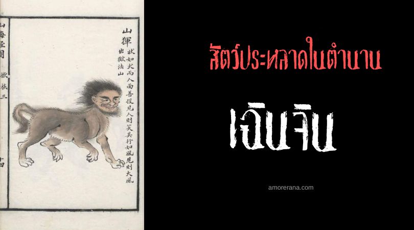 เฉินจิน (Shanhui) สุนัขหน้าคน ประเทศจีน