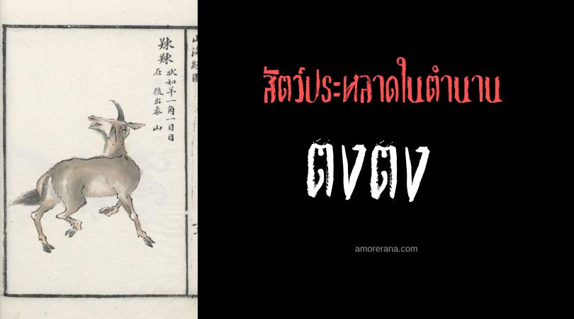 ตงตง (Dongdong) แพะตาเดียว ประเทศจีน