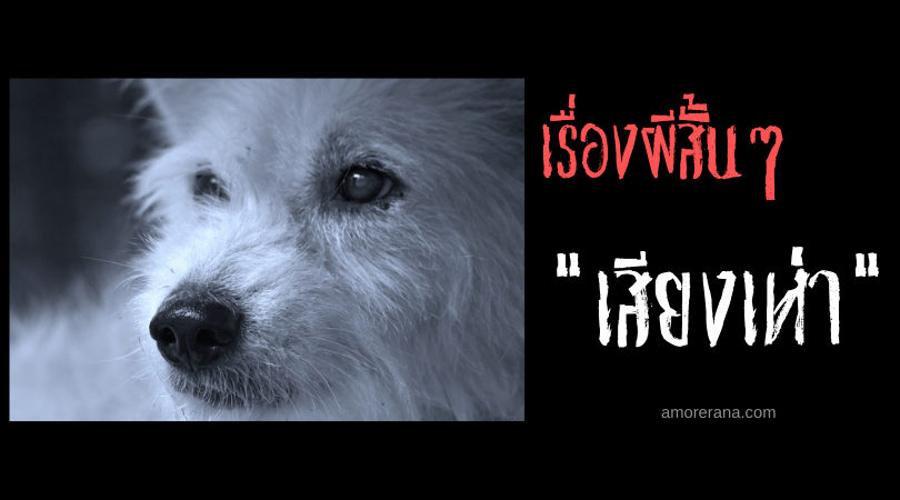 เรื่องผีสั้นๆ “เสียงเห่า”