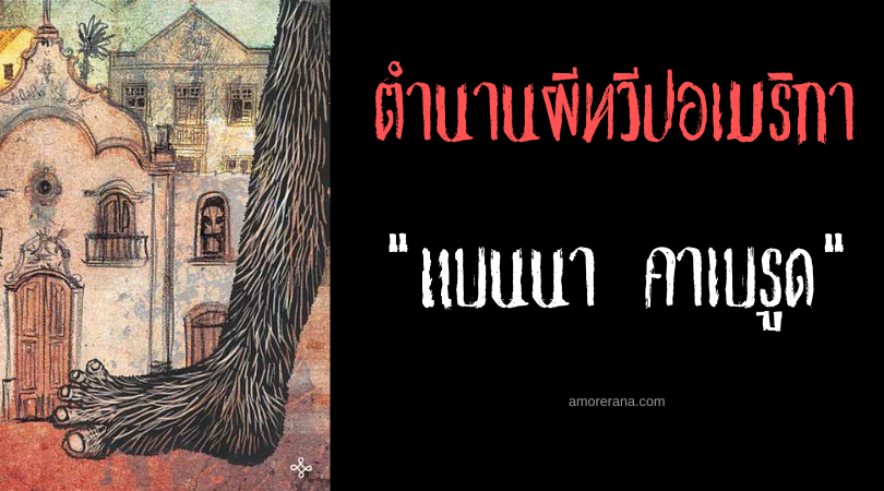 แบนนา คาเบรูดา (Perna Cabeluda) ขาขนดก ประเทศบราซิล