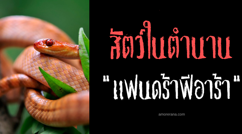 แฟนดร้าฟีอาร้า (Fandrefiala) งูมรณะหัวลูกศร สาธารณรัฐมาลากาซี