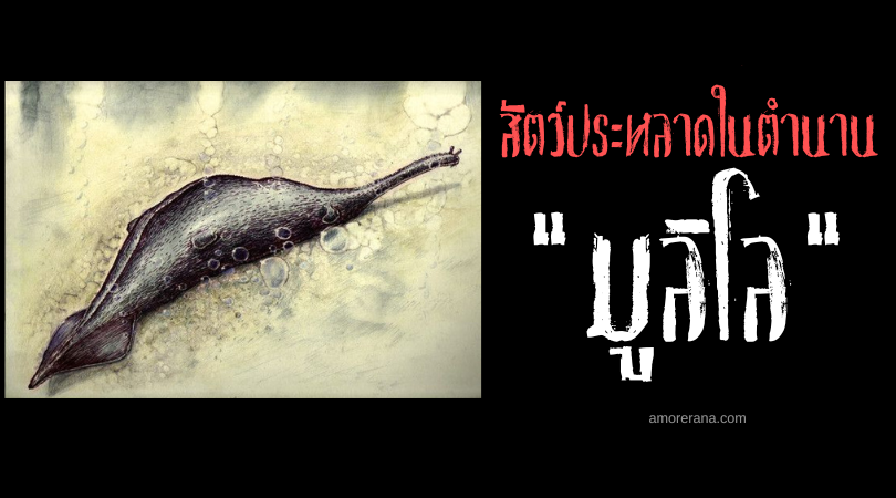 มูลิโล (Mulilo) หอยทากเวทมนตร์ ประเทศคองโก