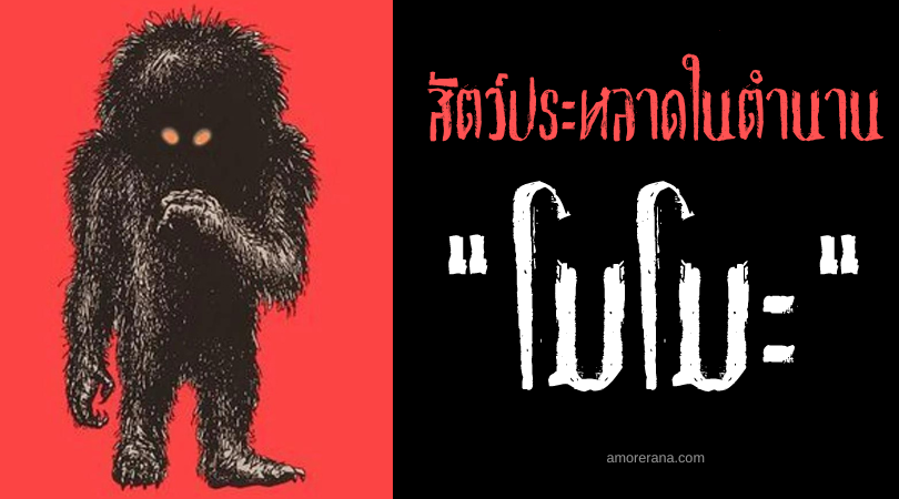โมโมะ (Momo) สัตว์ประหลาดแห่งมิสซูรี ประเทศสหรัฐอเมริกา
