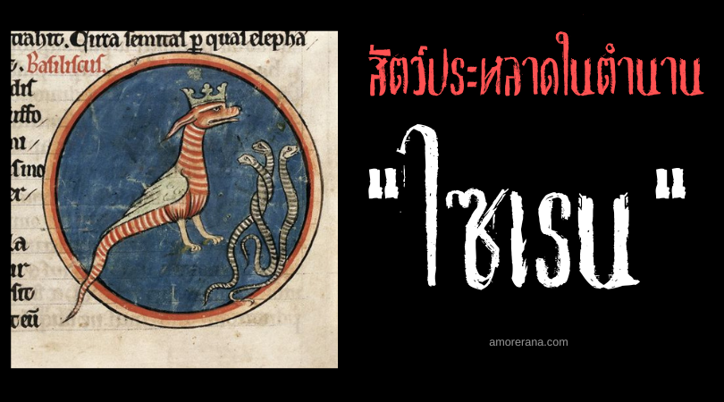 ไซเรน (sirens) งูใหญ่พิษร้ายความเร็วสูง ตำนานยุโรปยุคกลาง