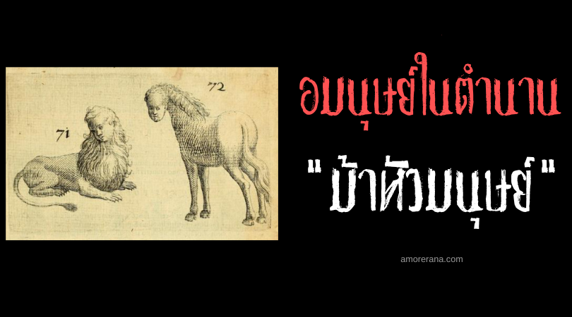 ม้าหัวมนุษย์ (Equus monstrosis capite humano) อมนุษย์ในตำนานทวีปยุโรป