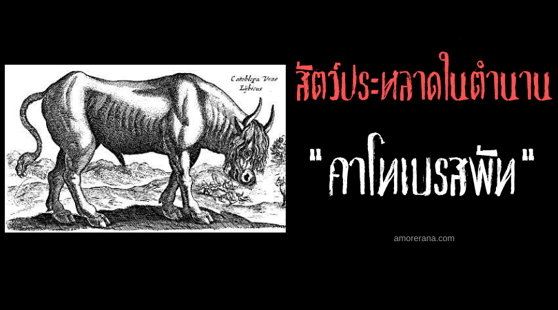 คาโทเบรสพัท (Catoblepas) สัตว์ประหลาดพ่นพิษคร่าวิญญาณ ประเทศเอธิโอเปีย