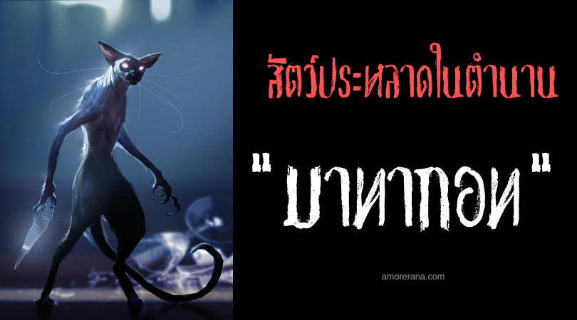 มาทากอท (Matagot) แมวดำจำแลงกาย ประเทศฝรั่งเศส