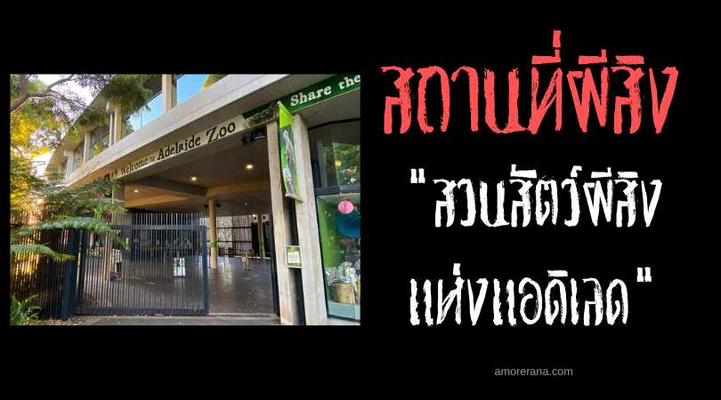 สวนสัตว์ผีสิงแห่งแอดิเลด (Adelaide Zoo) ประเทศออสเตรเลีย