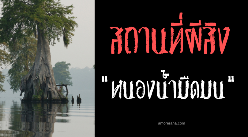 หนองน้ำมืดมน (Great Dismal Swamp) กับตำนานวิญญาณคู่รักที่ตามหากัน ของประเทศสหรัฐอเมริกา