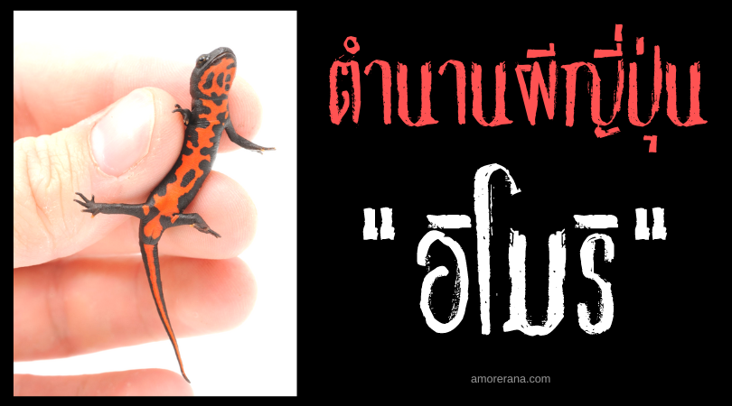 อิโมริ (Imori) ตุ๊กแกผีญี่ปุ่น หลอกหลอนสนามรบ