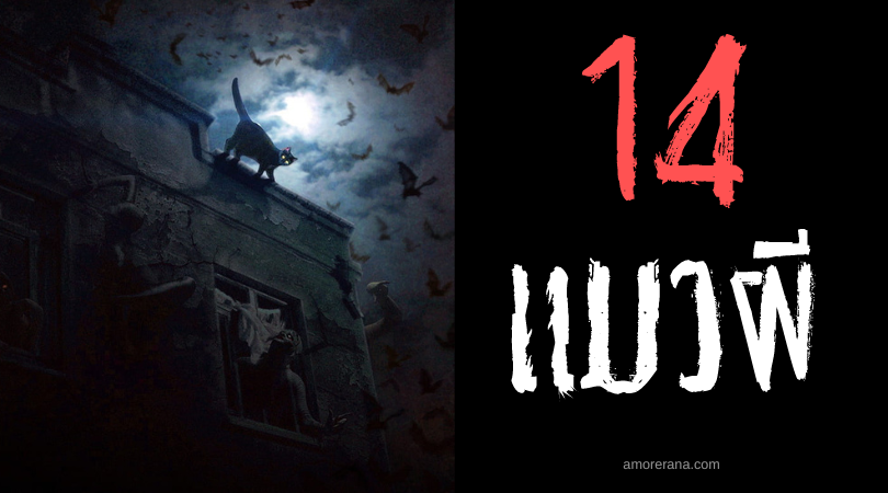 [14] แมวผี – เหนือธรรมชาติ ในตำนานสยองขวัญทั่วโลก