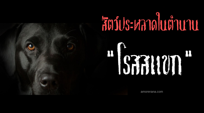 โรสสแขก (Roesschaert) สัตว์ประหลาดจำแลงร่างคุกคามผู้คน ประเทศเบลเยียม