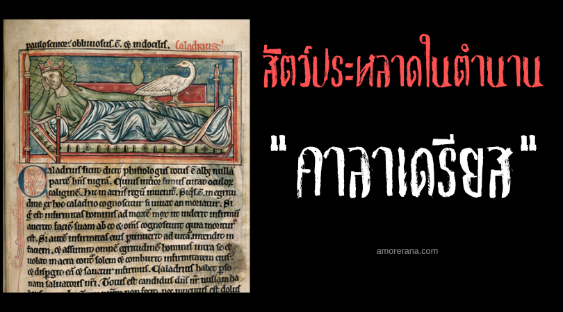 คาลาเดรียส (Caladrius) นกผู้แบกรับโรคร้าย ตำนานยุโรปยุคกลาง