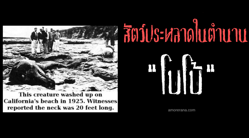 โบโบ้ (Bobo) สัตว์ประหลาดเแห่งอ่าวมอนเทอเรย์ ประเทศสหรัฐอเมริกา
